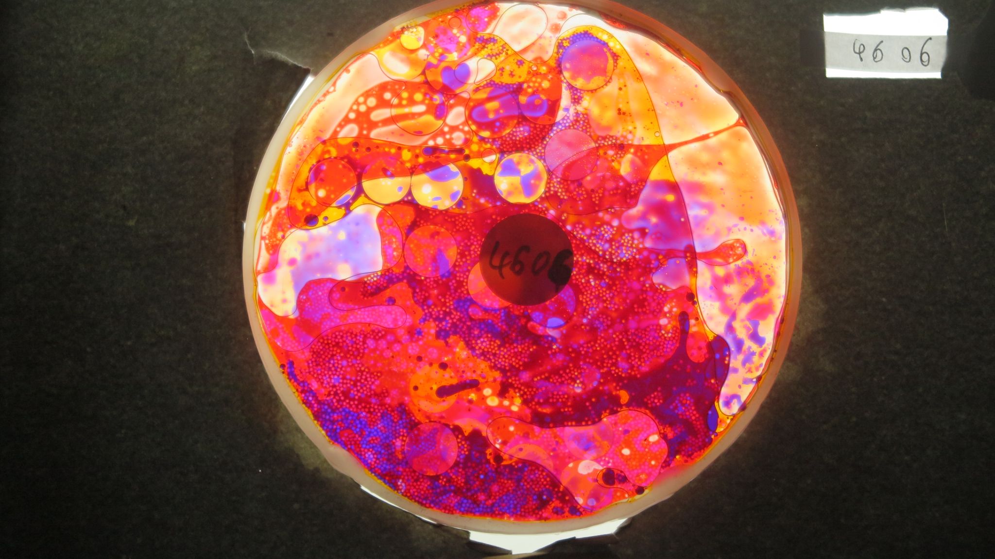 BV4606 bubble vision oil wheel